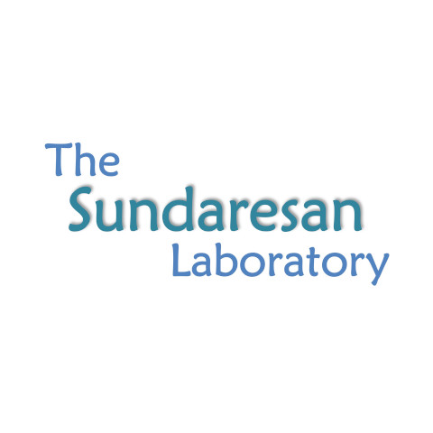 The Sundaresan Lab